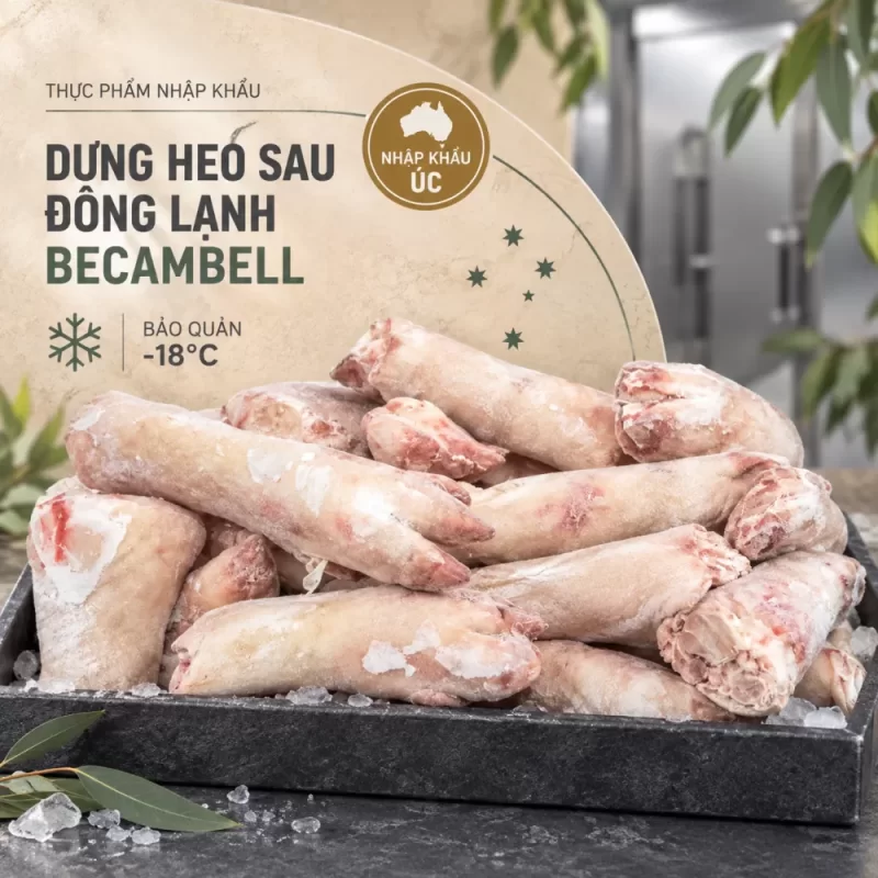 Dựng heo sau BeCambell
